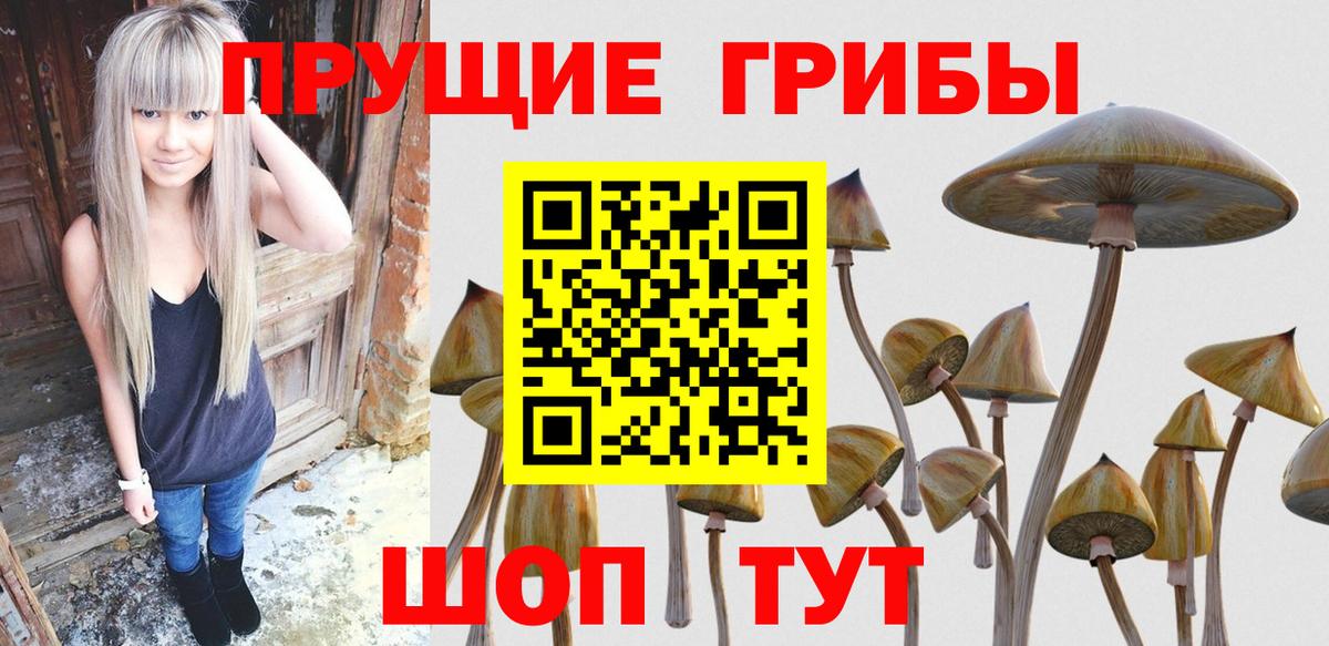 Псилоцибиновые грибы Magic Shrooms  Вход с VPN  Долгопрудный  Галлюциногенные грибы MAGIC MUSHROOMS 