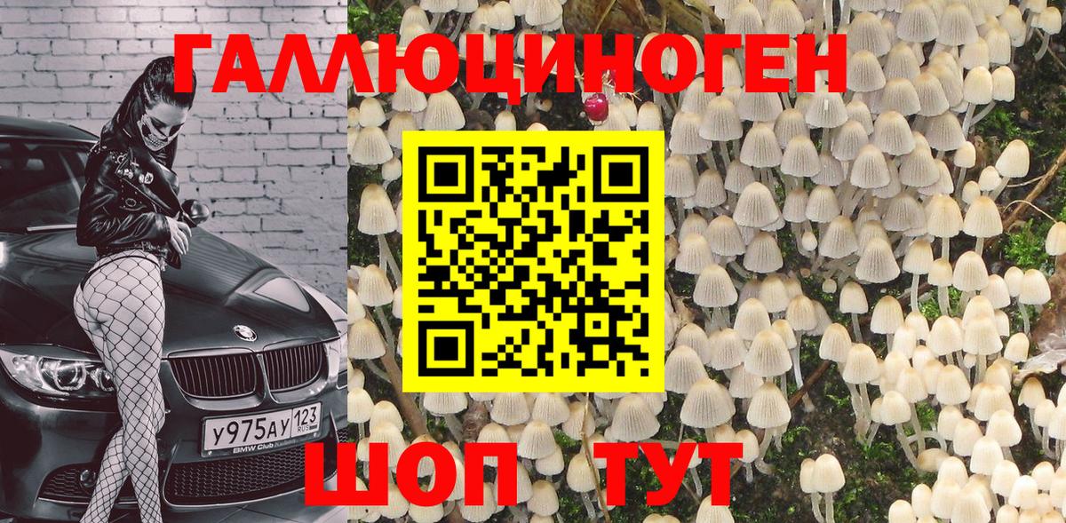 Галлюциногенные грибы Psilocybe Долгопрудный